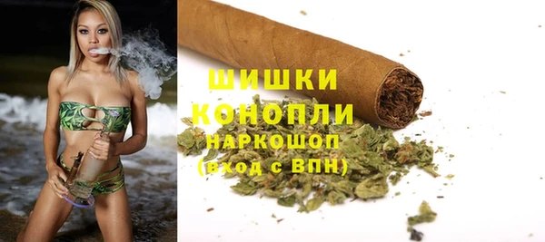 тгк Богородицк