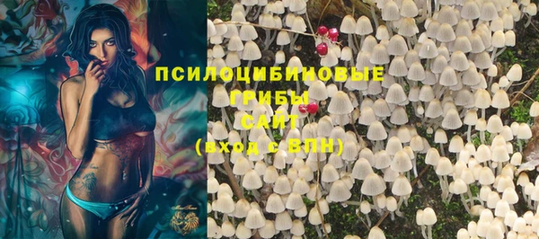 прущие крисы Бронницы