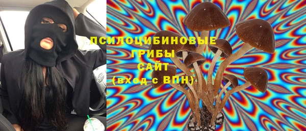 гашик Бородино