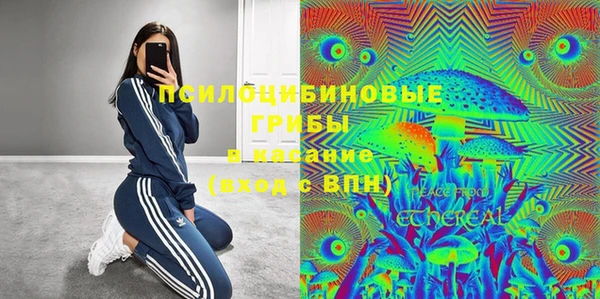 тгк Богородицк