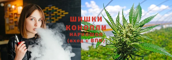гашик Бородино