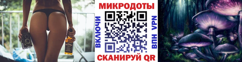 где купить наркотик  Дальнегорск  Псилоцибиновые грибы мицелий 